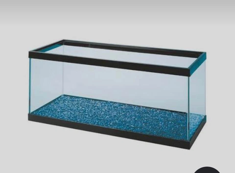 Aquarium & accessories - photo 2