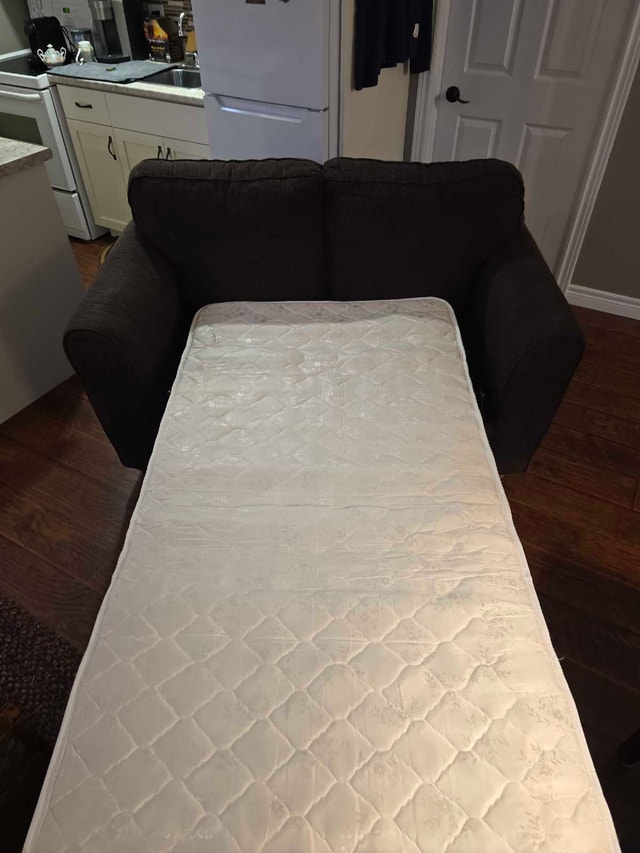 Loveseat with pull-out bed - photo 2