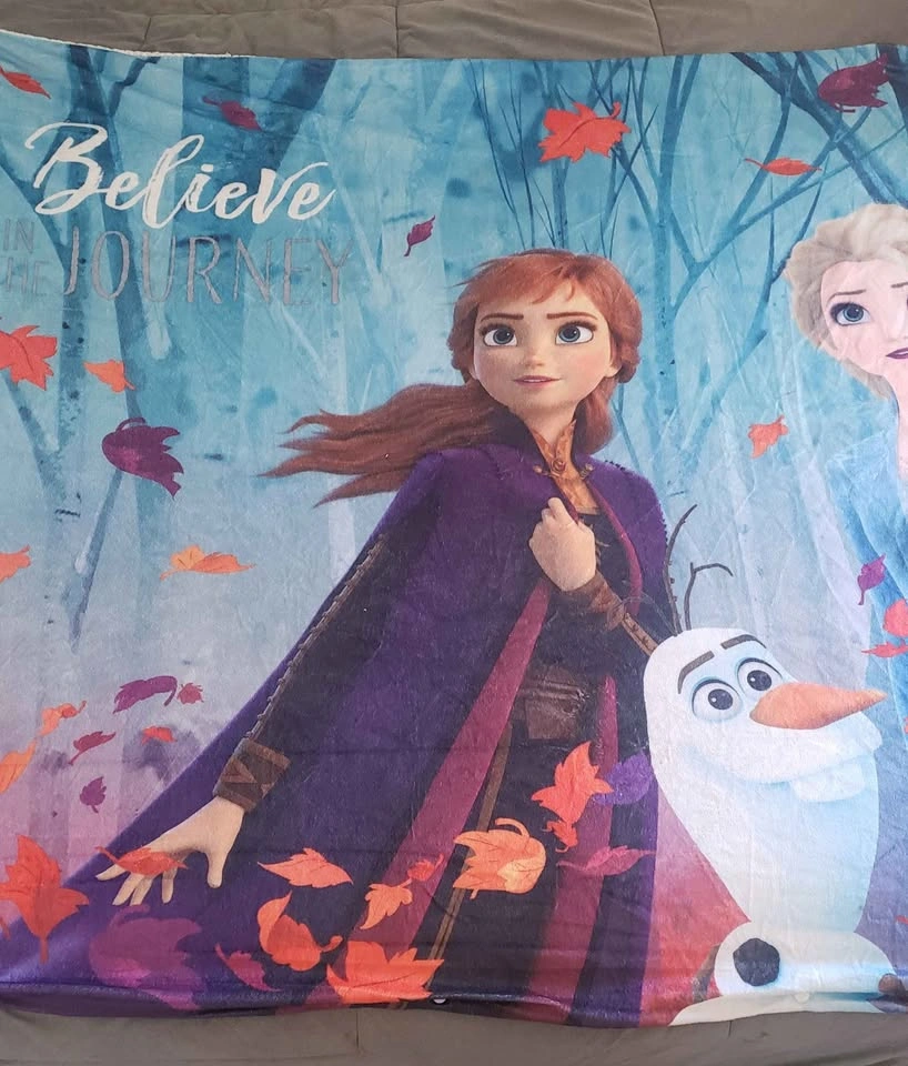 Big Frozen Blanket - photo 3