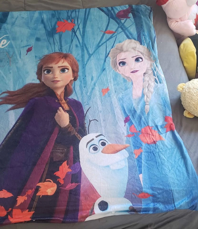 Big Frozen Blanket - photo 4