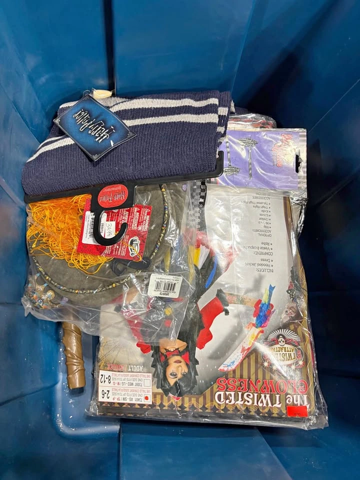 Halloween costumes and accessories