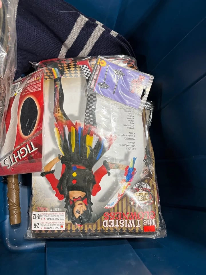 Halloween costumes and accessories - photo 2