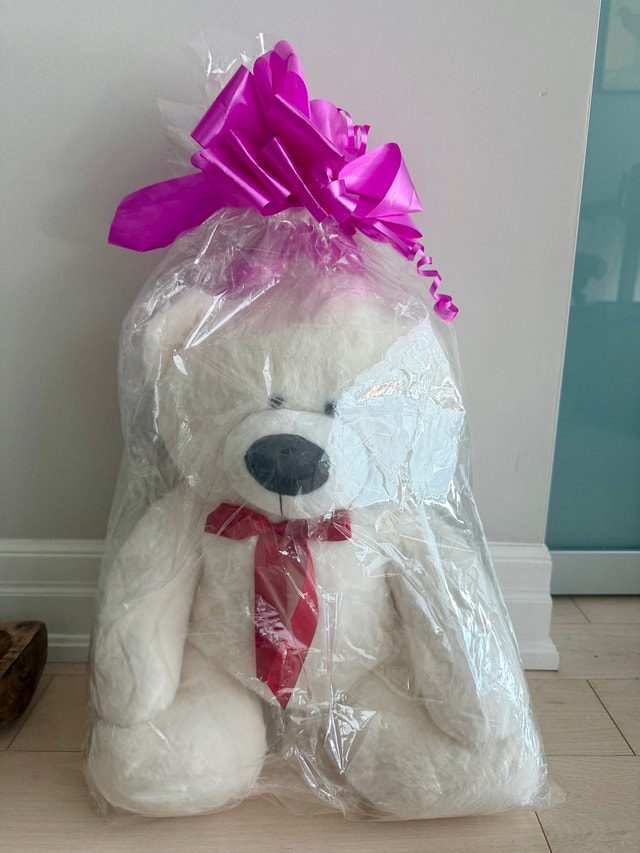 Large White Teddy Bear – New in Gift Wrap, Never Opened