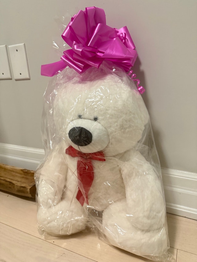Large White Teddy Bear – New in Gift Wrap, Never Opened - photo 4