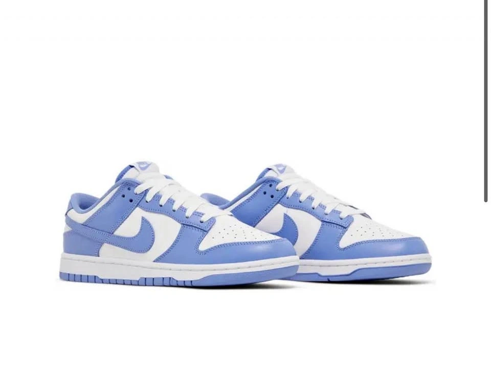 Brand New 2023 Nike Dunk Low 'Polar Blue'