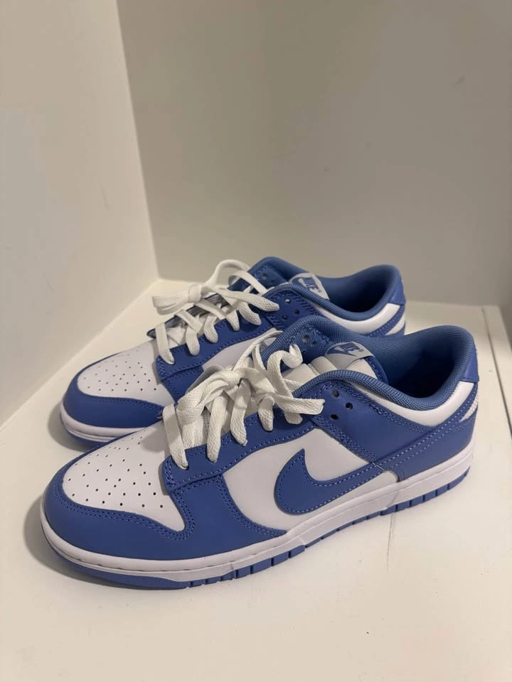 Brand New 2023 Nike Dunk Low 'Polar Blue' - photo 4