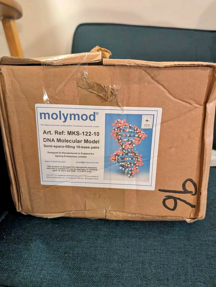 Molymod 10 layer dna model