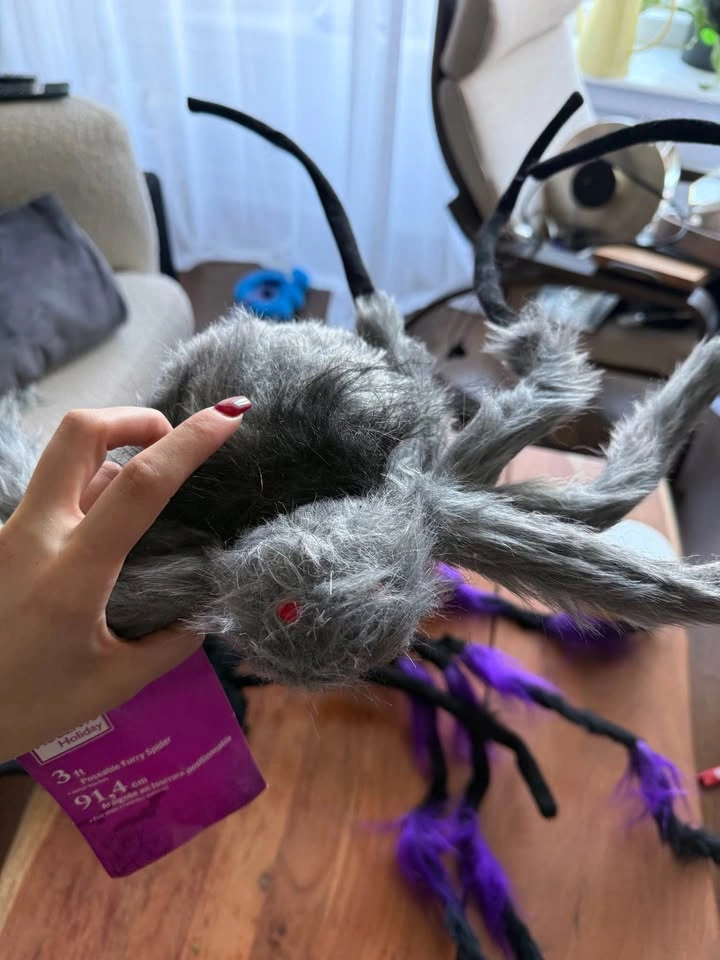 HALLOWEEN DECORATION - photo 2
