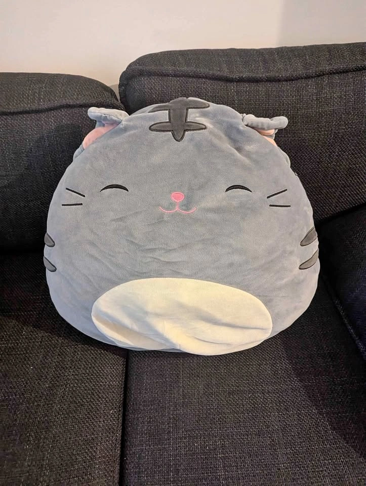 Squishmallow Tally the Grey Cat Plush