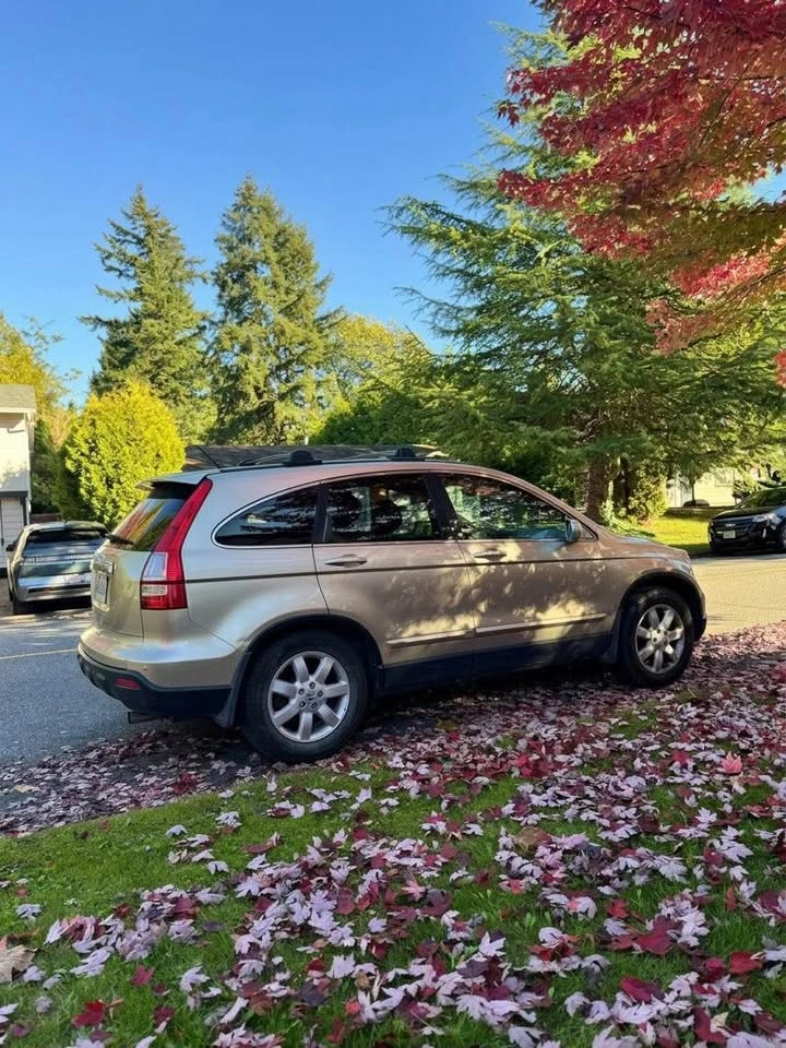 2007 Honda CR-V - photo 4