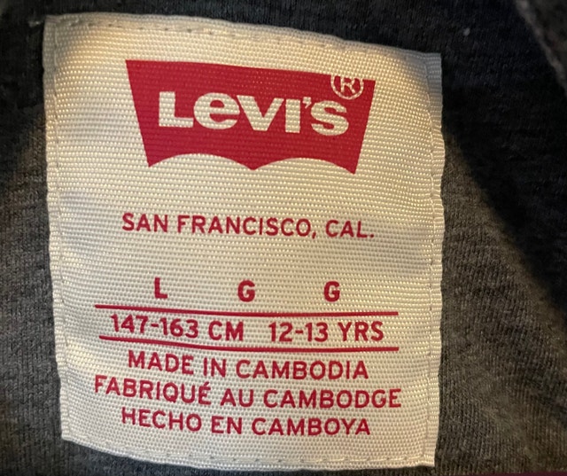 NWOT Boys Large Levi’s Hoodie - photo 3