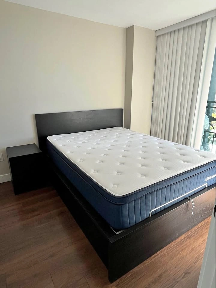 IKEA MALM Queen Bedframe w Storage