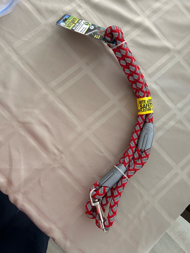Four Paws Nite Brite Reflecting Dog Leash