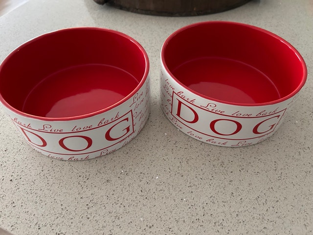 Ceramic Dog Bowls