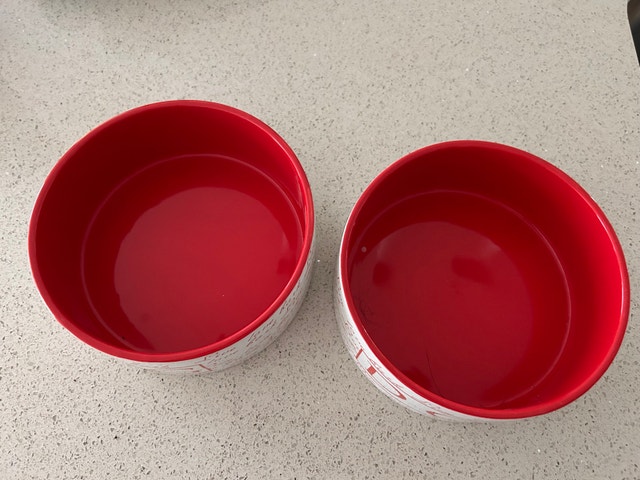 Ceramic Dog Bowls - photo 3