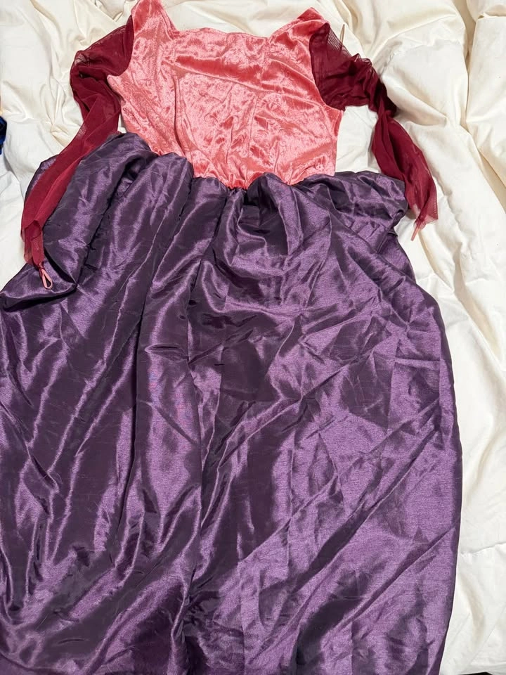 Hocus Pocus Costume - photo 3