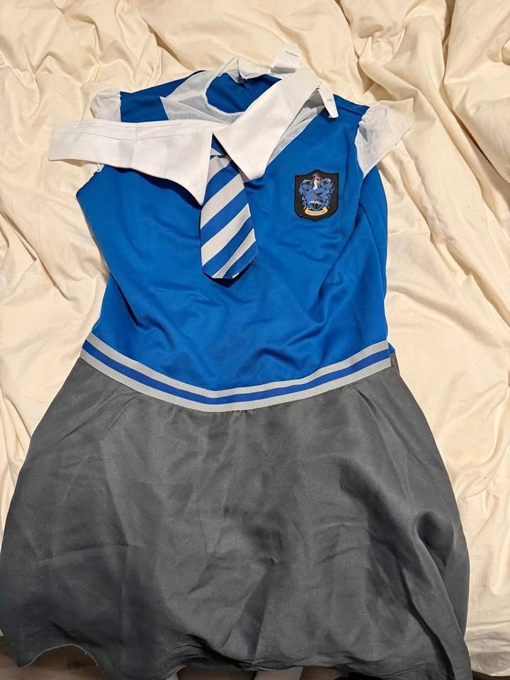 Harry Potter costume ravenclaw