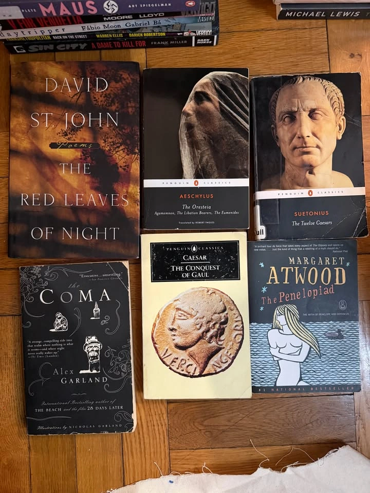 Assorted Books: Art, Fiction, Psychology, Comics, Self-Help - photo 4