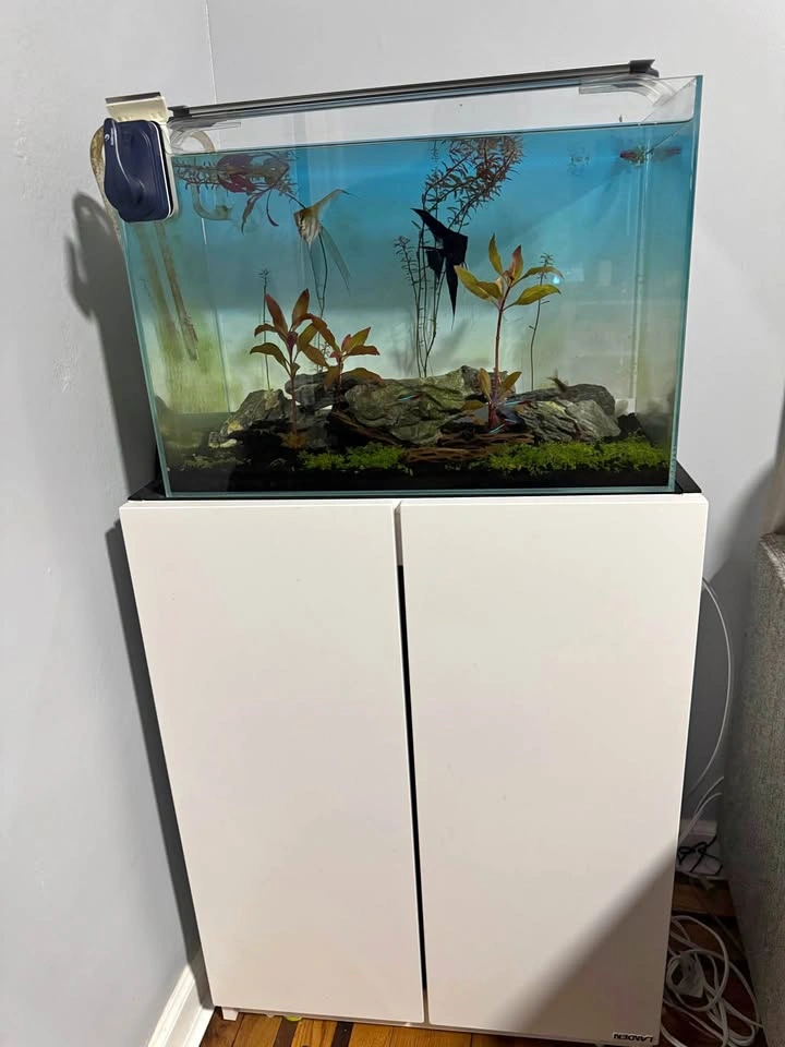 Allcolor 15G TANK (Rimless Aquarium) W extras