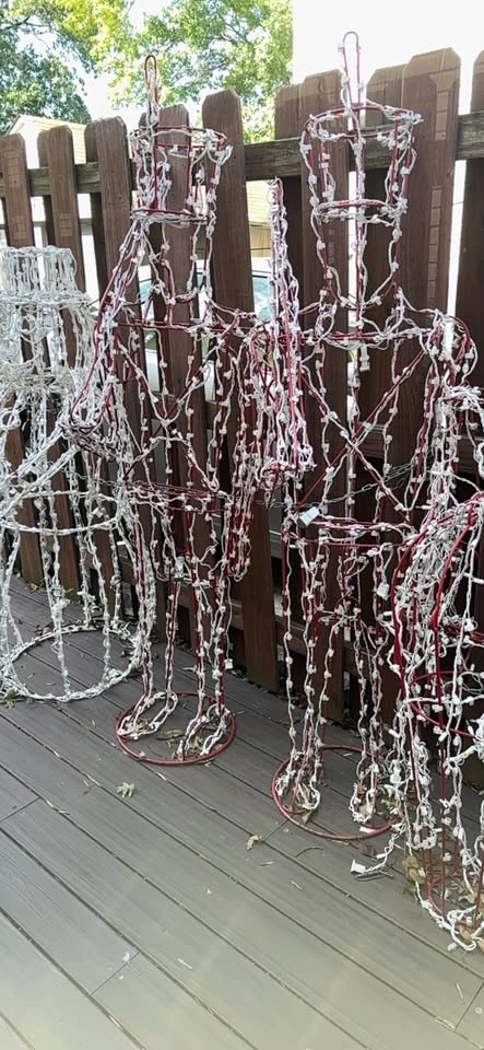 Outdoor Christmas Decorations - photo 3