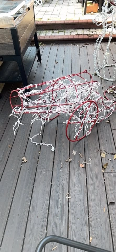 Outdoor Christmas Decorations - photo 4