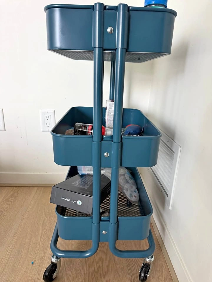 IKEA RÅSKOG Utility Cart