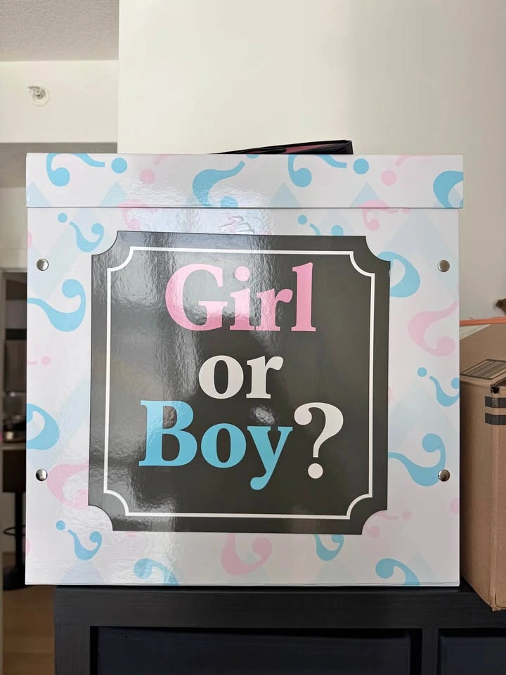 Party city gender reveal box