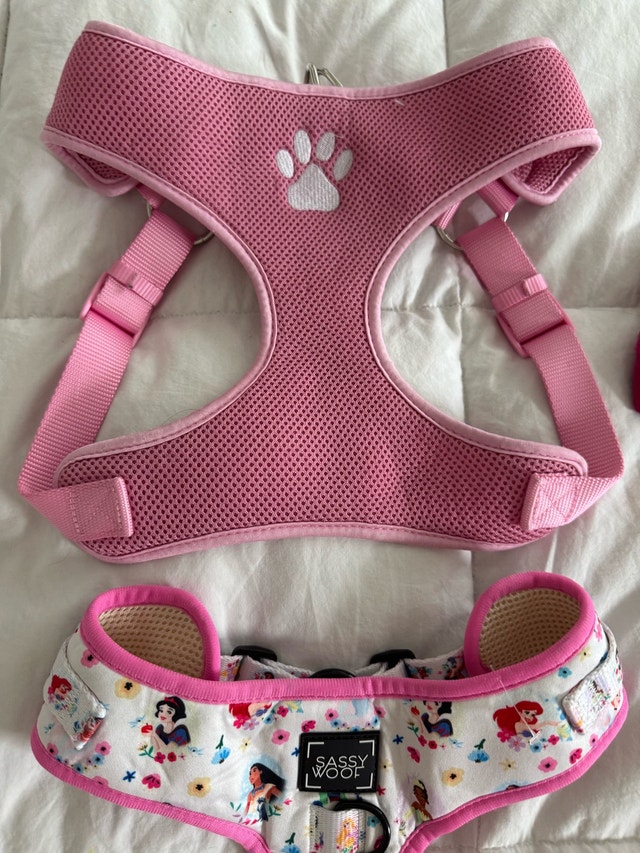 Size Large Dog Clothing Lot - Pink Disney Princess harness - photo 4