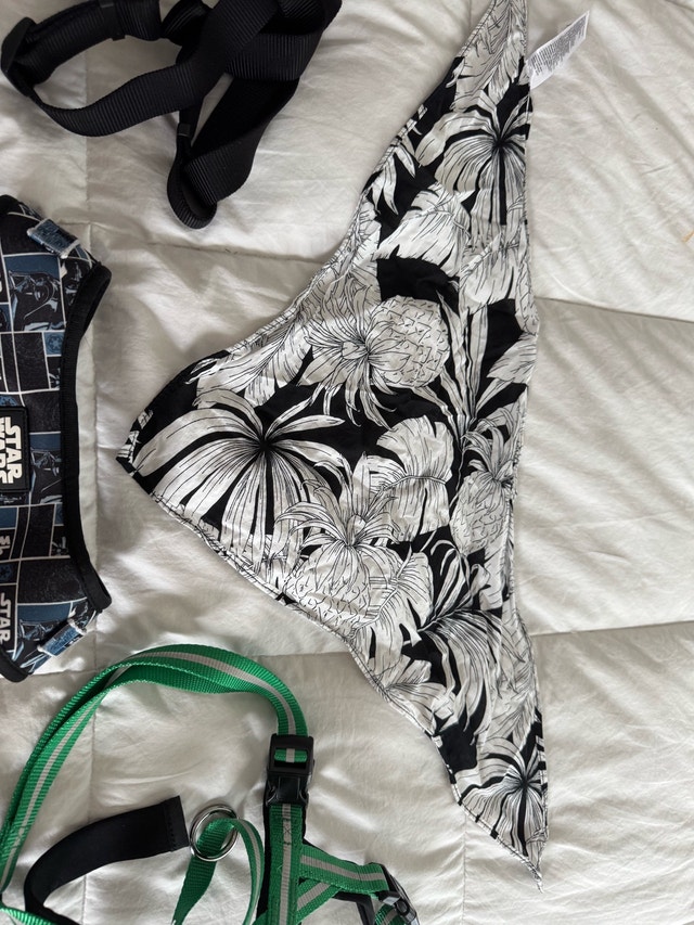 Size Large Dog Clothing Lot - Boy - Star Wars harness and lots M - photo 3