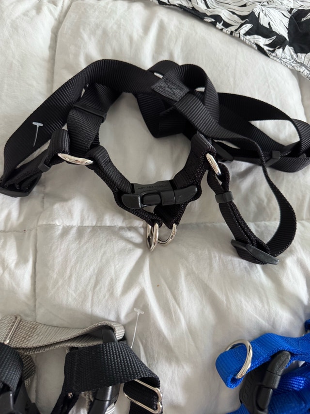 Size Large Dog Clothing Lot - Boy - Star Wars harness and lots M - photo 4