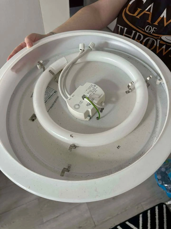 Light - photo 2