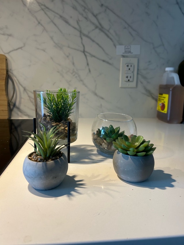 Artificial Succulents Set