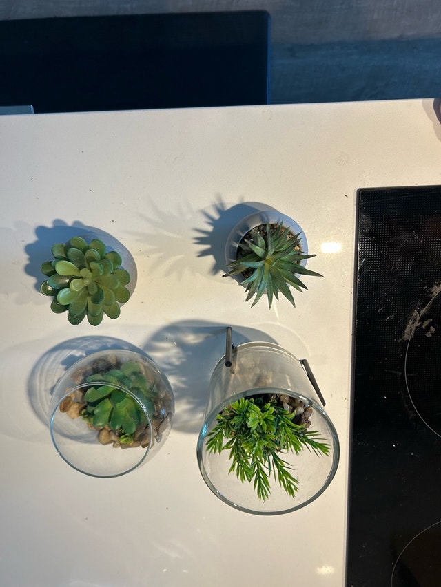 Artificial Succulents Set - photo 2