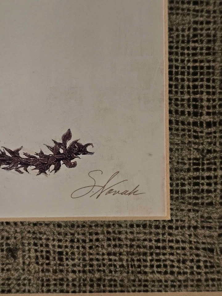 Vintage Faux Bamboo framed Botanical Art - photo 2