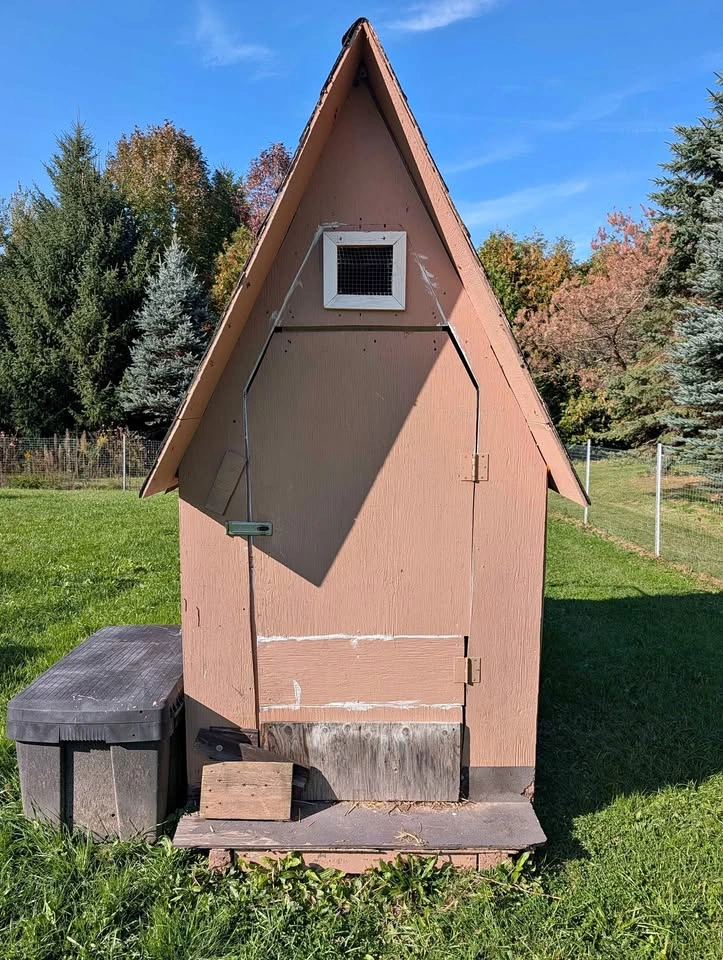 Tall insulated shed, chicken coop, dog house