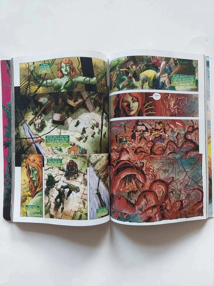 Gotham City Sirens Book One Paul Dini, Batman Harley Quinn, DC C - photo 2