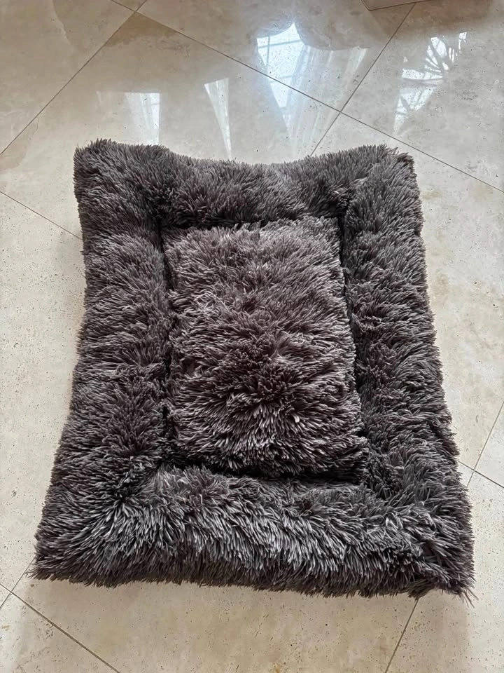 Dog Bed
