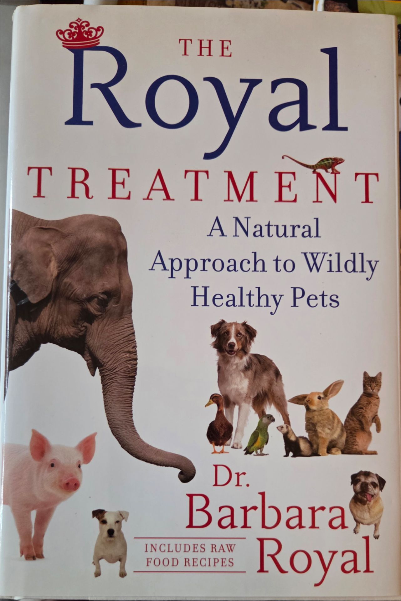 The Royal Treatment by Dr. Barbara Royal