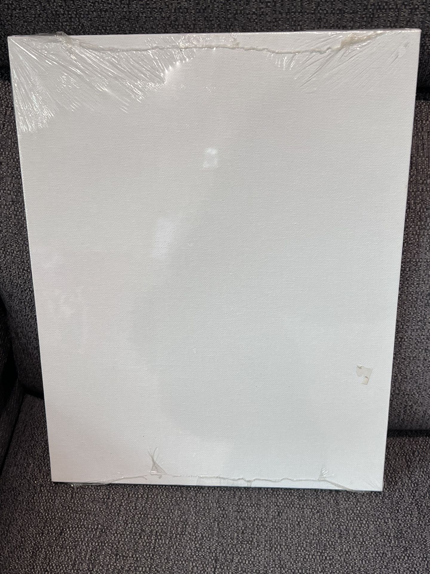 Fredrix Canvas Panels - 11" x 14" 4 Pcs Plus One 12x16 - photo 4