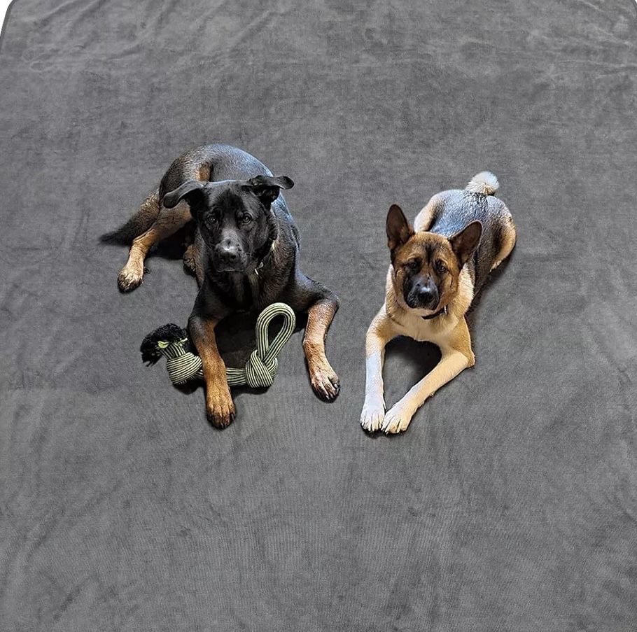 Pet Pee Mat - photo 4