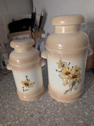 Vintage Floral Ceramic Kitchen Canister Set of 2 Cream Tan