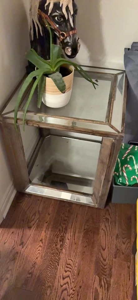Wood Mirror Side Table