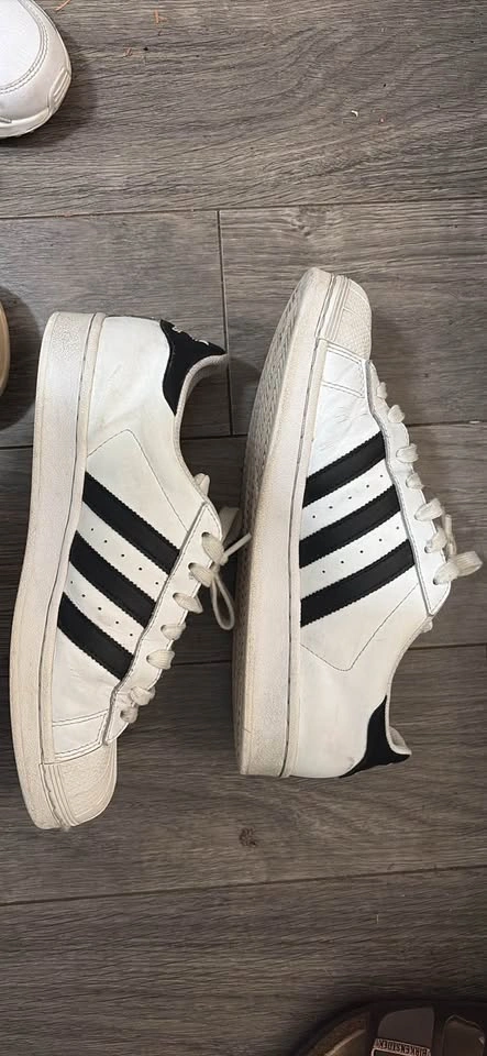 adidas superstars white