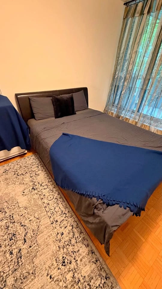 Queen Size Bed Frame w/mattress