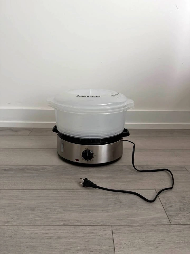 electric food steamer