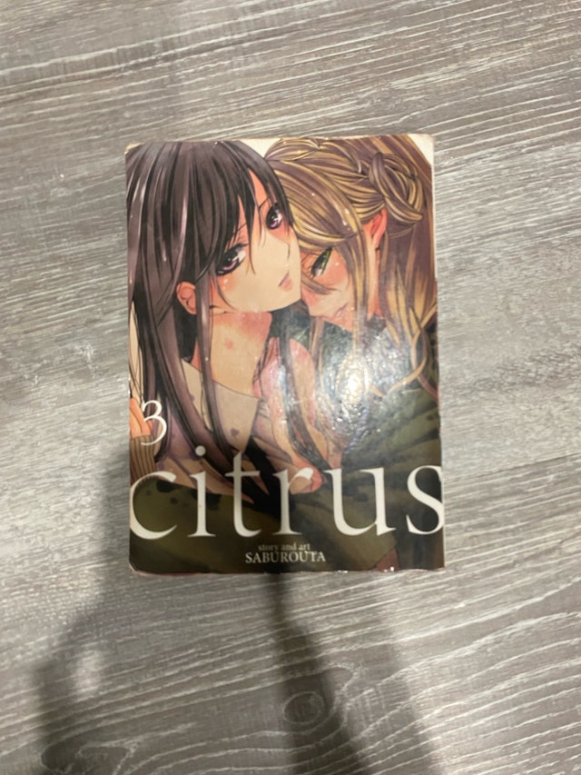 Citrus Vol. 3 Manga by Saburouta - photo 2