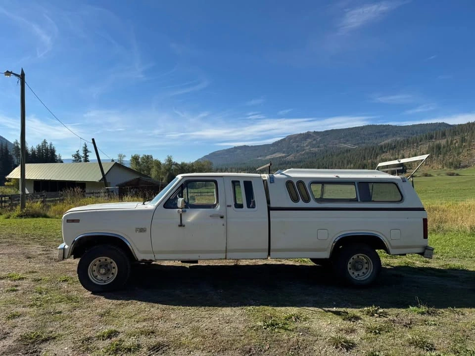 1985 Ford F-150 - photo 2