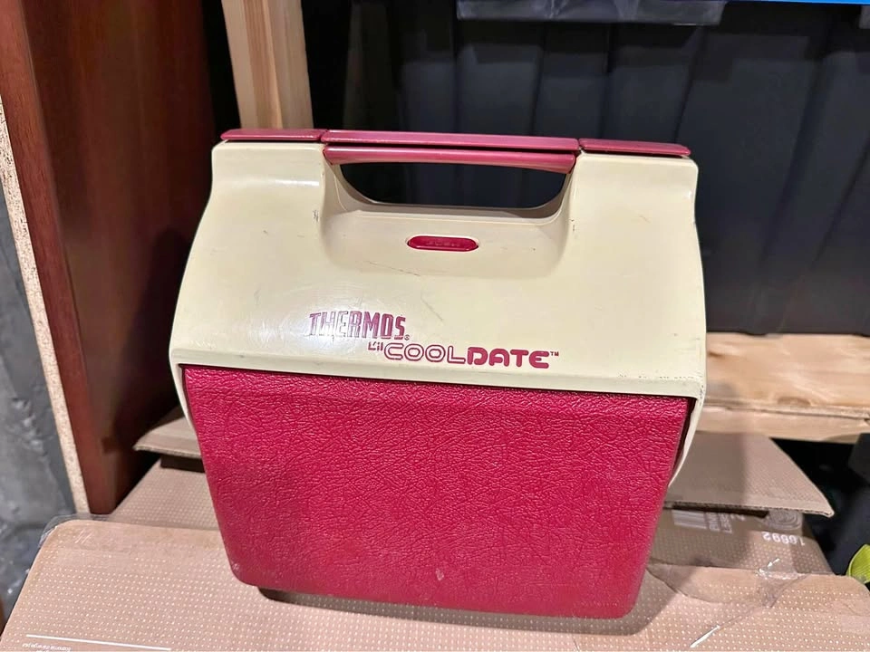 Thermos Lil' Cooldate Cooler