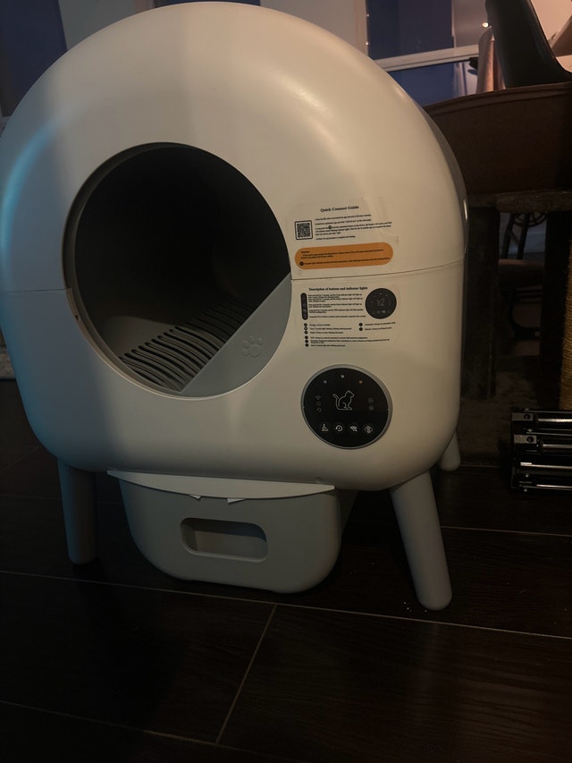 self cleaning cat litter