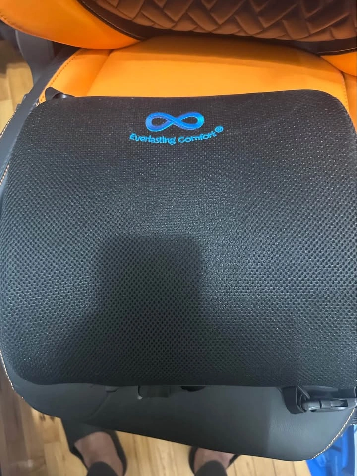 Everlasting Comfort Lumbar Support Pillow